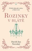 Rozinky v blátě (e-kniha)
