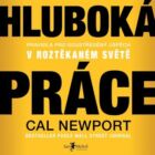 Hluboká práce (e-kniha)