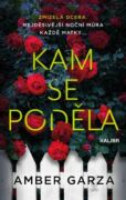 Kam se poděla (e-kniha)