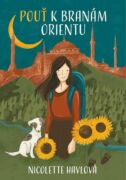 Pouť k branám Orientu (e-kniha)