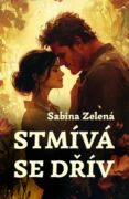 Stmívá se dřív (e-kniha)