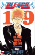 Bleach 19