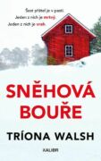 Sněhová bouře (e-kniha)