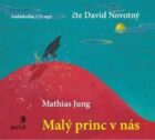 Malý princ v nás