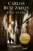 Stín větru (e-kniha)