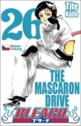 Bleach 26