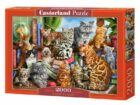 Castorland Puzzle - Kočičí dům 2000 dílkú