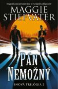 Pán Nemožný (e-kniha)
