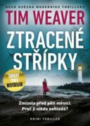 Ztracené střípky (e-kniha)