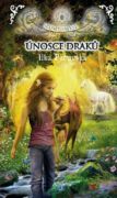 Únosce draků (e-kniha)