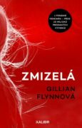 Zmizelá (e-kniha)