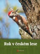 Rok v českém lese (e-kniha)
