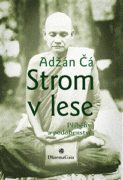 Strom v lese - Příběhy a podobenství