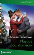 Playboy pod stromeček (e-kniha)