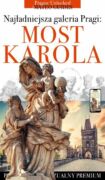 Most Karola - historie posągów, świętych i rzeźbiarzy (e-kniha)