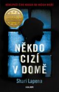 Někdo cizí v domě (e-kniha)