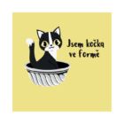 Dámské tričko - Jsem kočka ve formě, vel. L