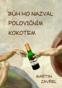 Bůh ho nazval polovičním kokotem (e-kniha)
