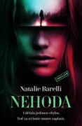 Nehoda (e-kniha)