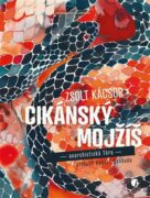 Cikánský Mojžíš - anarchistická tóra