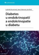Diabetes u endokrinopatií a endokrinopatie u diabetu (e-kniha)