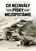 Co nezavály písky Mezopotámie (e-kniha)