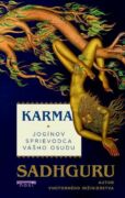Karma (e-kniha)