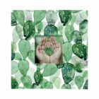 Fotoalbum - Kaktus