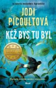 Kéž bys tu byl (e-kniha)