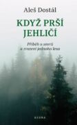 Když prší jehličí (e-kniha)