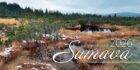 Kalendář 2026 - Šumava stolní čtrnáctidenní