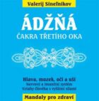 Ádžňá
