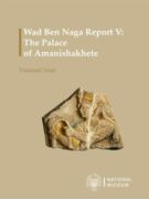 Wad Ben Naga Report V. (e-kniha)