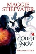 Zlodeji snov (e-kniha)