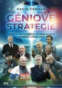 Géniové strategie (e-kniha)