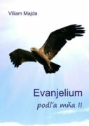 Evanjelium podľa mňa II (e-kniha)