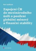 Zapojení ČR do mezinárodního úsilí o posílení globální měnové a finanční stability (e-kniha)