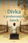 Dívka v pruhovaných šatech (e-kniha)