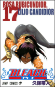 Bleach 17