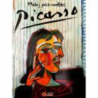 Picasso - Maluj jako umělec
