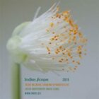 Indies Scope 2015 (CD)