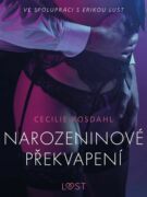 Narozeninové překvapení - Erotická povídka (e-kniha)