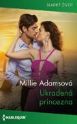 Ukradená princezna (e-kniha)