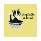 Dámské tričko - Jsem kočka ve formě, vel. L