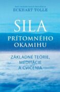 Sila prítomného okamihu - Cvičenia (e-kniha)