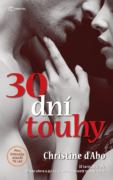 30 dní touhy (e-kniha)