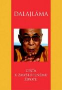Cesta k zmysluplnému životu (e-kniha)