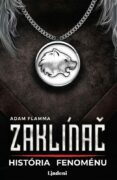 Zaklínač. História fenoménu