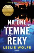 Případy Kay Sharpové 2: Na dně Temné řeky (e-kniha)