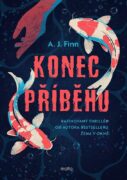 Konec příběhu